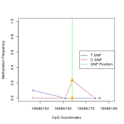 Allele Specific Methylation Frequency Diagram for chr20 19686164 SNP.