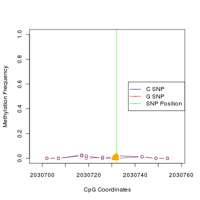 Allele Specific Methylation Frequency Diagram for chr20 2030732 SNP.