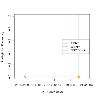 Allele Specific Methylation Frequency Diagram for chr20 21029455 SNP.