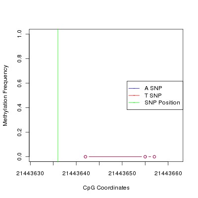 Allele Specific Methylation Frequency Diagram for chr20 21443636 SNP.