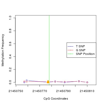 Allele Specific Methylation Frequency Diagram for chr20 21450778 SNP.