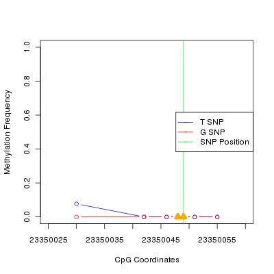 Allele Specific Methylation Frequency Diagram for chr20 23350049 SNP.