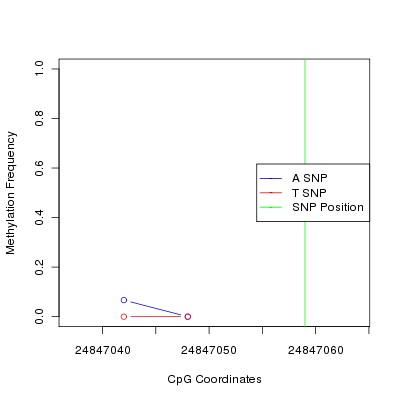 Allele Specific Methylation Frequency Diagram for chr20 24847059 SNP.