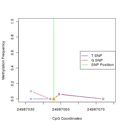 Allele Specific Methylation Frequency Diagram for chr20 24987046 SNP.