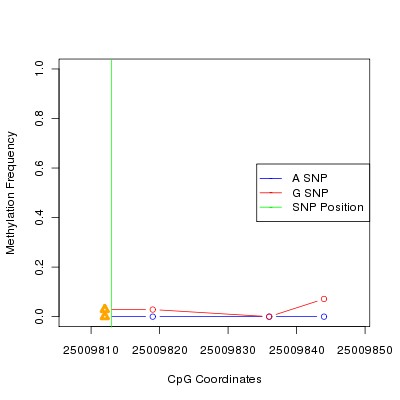 Allele Specific Methylation Frequency Diagram for chr20 25009813 SNP.