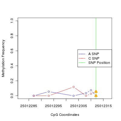 Allele Specific Methylation Frequency Diagram for chr20 25012312 SNP.