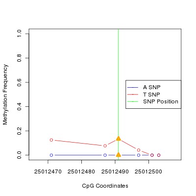 Allele Specific Methylation Frequency Diagram for chr20 25012491 SNP.