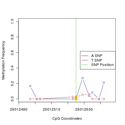 Allele Specific Methylation Frequency Diagram for chr20 25012525 SNP.