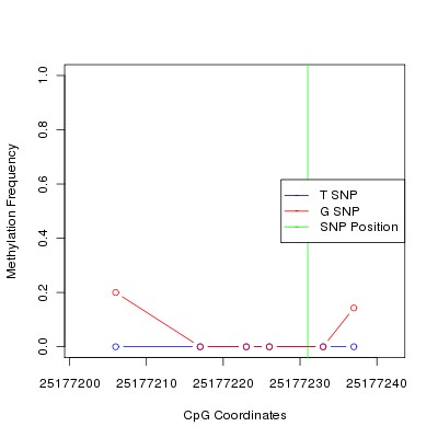 Allele Specific Methylation Frequency Diagram for chr20 25177231 SNP.