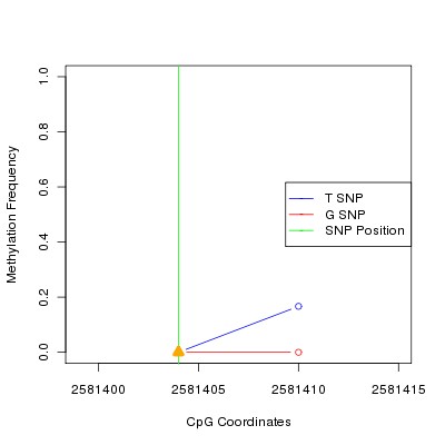 Allele Specific Methylation Frequency Diagram for chr20 2581404 SNP.