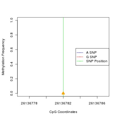 Allele Specific Methylation Frequency Diagram for chr20 26136782 SNP.