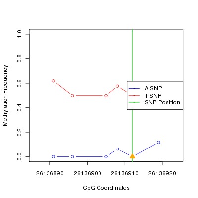 Allele Specific Methylation Frequency Diagram for chr20 26136912 SNP.