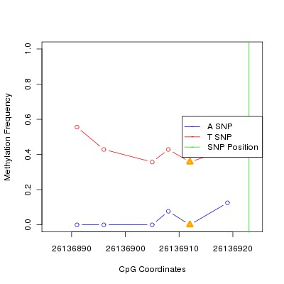 Allele Specific Methylation Frequency Diagram for chr20 26136923 SNP.