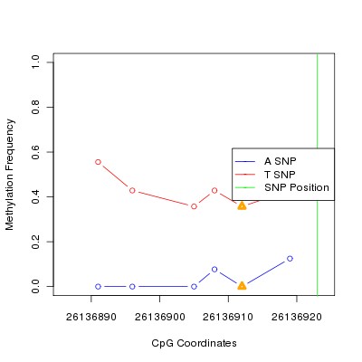 Allele Specific Methylation Frequency Diagram for chr20 26136923 SNP.