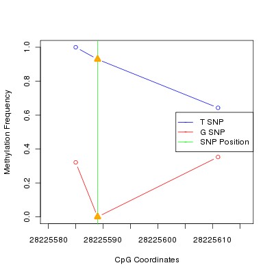 Allele Specific Methylation Frequency Diagram for chr20 28225589 SNP.