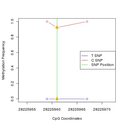 Allele Specific Methylation Frequency Diagram for chr20 28225961 SNP.