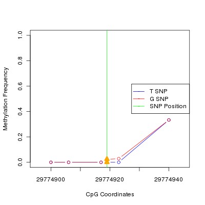 Allele Specific Methylation Frequency Diagram for chr20 29774919 SNP.