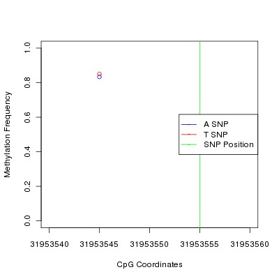 Allele Specific Methylation Frequency Diagram for chr20 31953555 SNP.