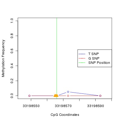Allele Specific Methylation Frequency Diagram for chr20 33198566 SNP.