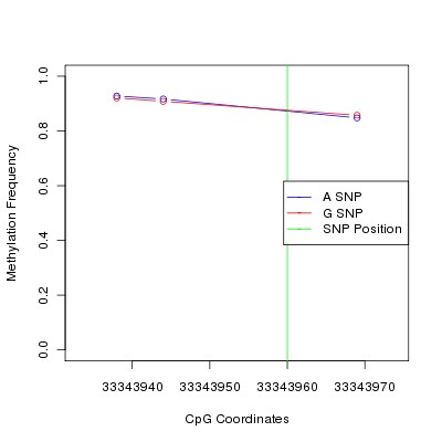 Allele Specific Methylation Frequency Diagram for chr20 33343960 SNP.