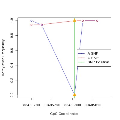 Allele Specific Methylation Frequency Diagram for chr20 33485801 SNP.