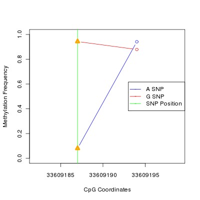 Allele Specific Methylation Frequency Diagram for chr20 33609187 SNP.