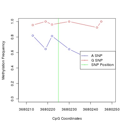 Allele Specific Methylation Frequency Diagram for chr20 3680225 SNP.