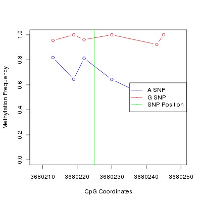 Allele Specific Methylation Frequency Diagram for chr20 3680225 SNP.