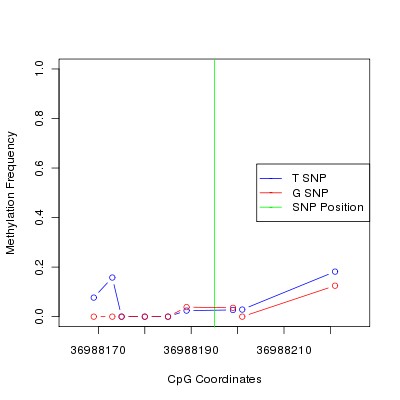 Allele Specific Methylation Frequency Diagram for chr20 36988195 SNP.