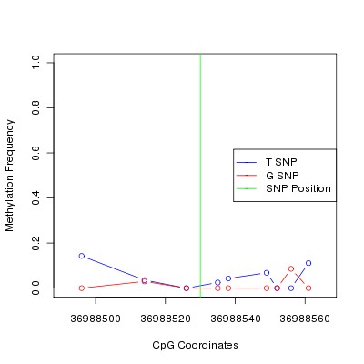 Allele Specific Methylation Frequency Diagram for chr20 36988530 SNP.