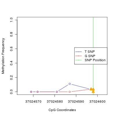 Allele Specific Methylation Frequency Diagram for chr20 37024598 SNP.