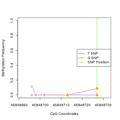 Allele Specific Methylation Frequency Diagram for chr20 45848727 SNP.