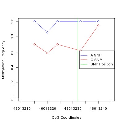 Allele Specific Methylation Frequency Diagram for chr20 46013232 SNP.