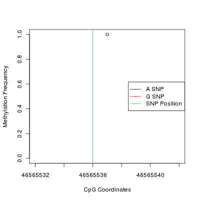 Allele Specific Methylation Frequency Diagram for chr20 46565536 SNP.