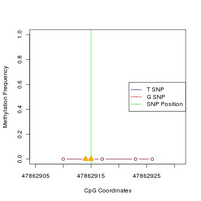 Allele Specific Methylation Frequency Diagram for chr20 47862915 SNP.