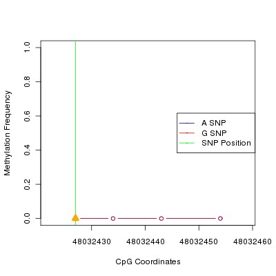 Allele Specific Methylation Frequency Diagram for chr20 48032427 SNP.