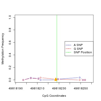 Allele Specific Methylation Frequency Diagram for chr20 49818228 SNP.