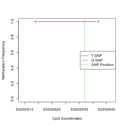 Allele Specific Methylation Frequency Diagram for chr20 50202632 SNP.