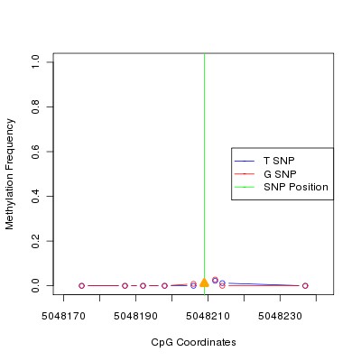 Allele Specific Methylation Frequency Diagram for chr20 5048209 SNP.