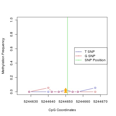 Allele Specific Methylation Frequency Diagram for chr20 5244651 SNP.