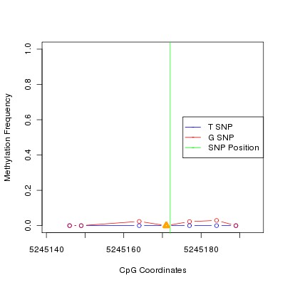 Allele Specific Methylation Frequency Diagram for chr20 5245172 SNP.