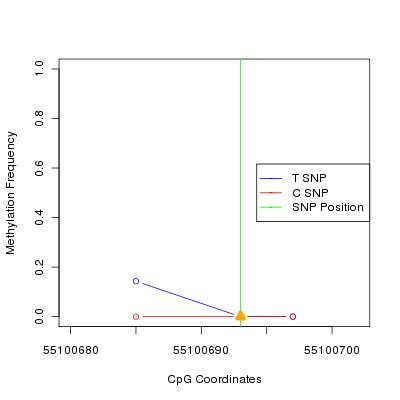 Allele Specific Methylation Frequency Diagram for chr20 55100693 SNP.