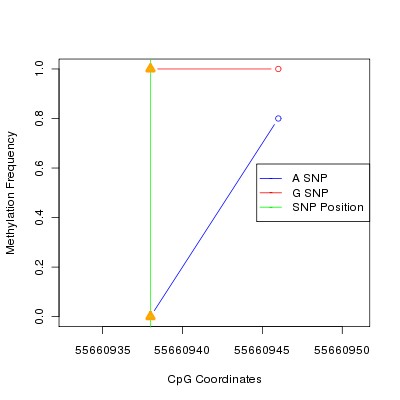 Allele Specific Methylation Frequency Diagram for chr20 55660938 SNP.