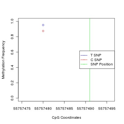 Allele Specific Methylation Frequency Diagram for chr20 55757491 SNP.