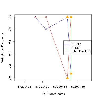 Allele Specific Methylation Frequency Diagram for chr20 57200438 SNP.