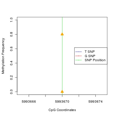Allele Specific Methylation Frequency Diagram for chr20 5993670 SNP.