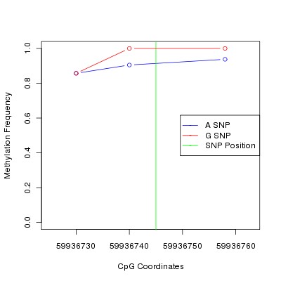 Allele Specific Methylation Frequency Diagram for chr20 59936745 SNP.