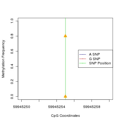 Allele Specific Methylation Frequency Diagram for chr20 59945255 SNP.