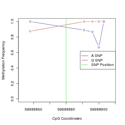 Allele Specific Methylation Frequency Diagram for chr20 59988880 SNP.