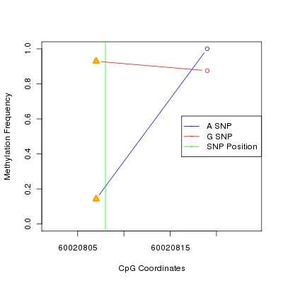 Allele Specific Methylation Frequency Diagram for chr20 60020808 SNP.